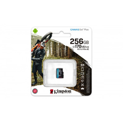 Memoria MicroSD Kingston 256 Go MicroSD Clase 10 UHS-I